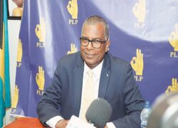 PLP Chairman Fred Mitchell